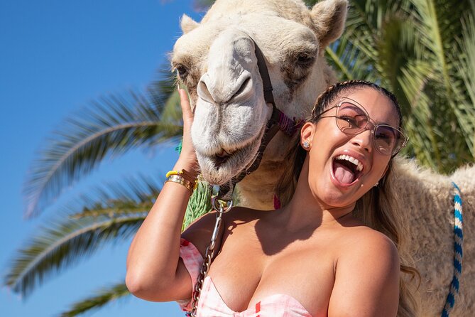 NEW! Combo Camel Beach Ride and UTV 4X4 Cabo Adventure, Tequila & - The ride rhythm: camel safari, tacos/buffet, tequila, then Baja desert