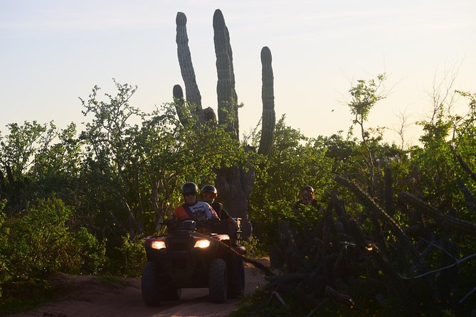 New!!! Extreme Beach & Desert Off-Road Atv Experience… - Stop Moments You’ll Actually Remember: Cactus, Plants, and Ocean Surprises