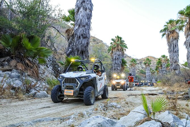 Night Ziplines & UTV Adventure + Mexican Parrillada - Transportation and Timing: How the 4 Hours Feel on the Ground