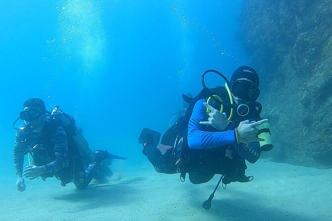 Non-Certified Diving Adventure in Cabo San Lucas - Key highlights you’ll care about