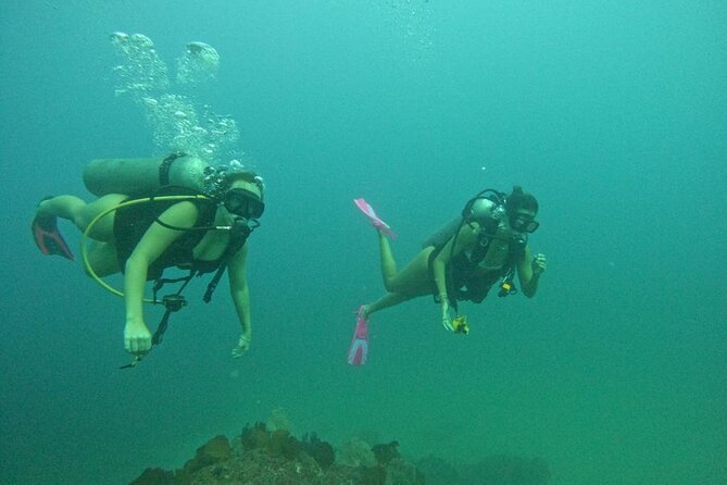 Non-Certified Diving Adventure in Cabo San Lucas - How long you’re in the water (and what affects your time)