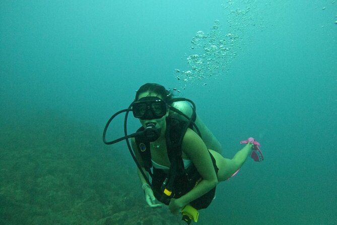 Non-Certified Diving Adventure in Cabo San Lucas - Small group size, English coaching, and who this is best for