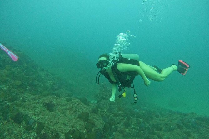 Non-Certified Diving Adventure in Cabo San Lucas - Who should book this Cabo SCUBA tryout, and who might skip it