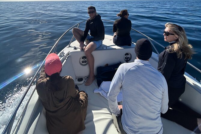 Ocean Safari in San Jose del Cabo - Snorkeling When Conditions Allow: Gear, Reassurance, and What to Look For