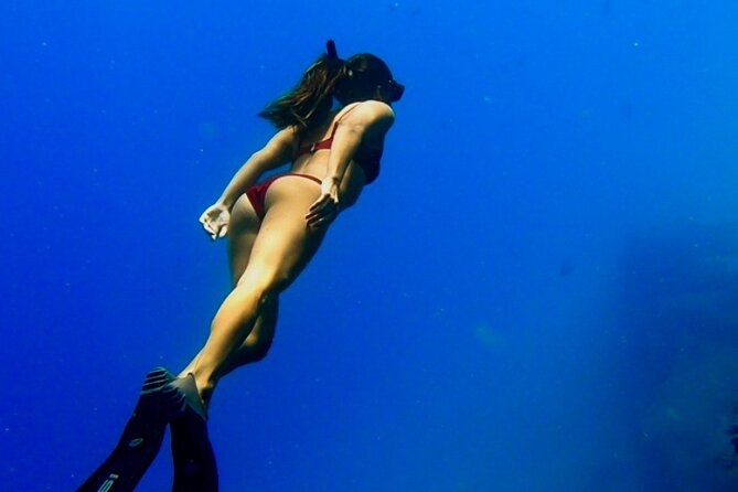 Ocean Safari Tour in Cabo San Lucas - The Arch Photo Stop and Route Moments You’ll Remember
