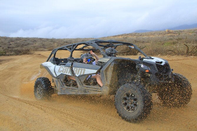 Off-Road Cabo Adventure: Beach and Desert Ride, Tequila Tasting - Pickup, Timing, and How Cruise Passengers Fit In