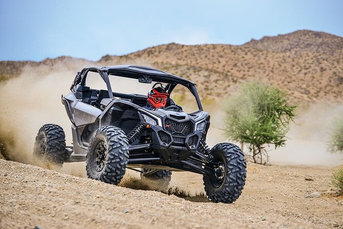 Off-Road Cabo Adventure: Desert & Beach Ride Plus Tequila Tasting - Key Highlights Worth Waving Your Hands At