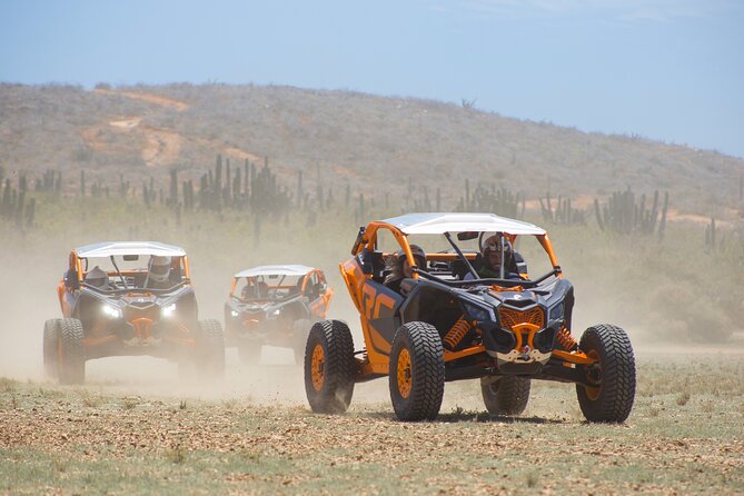 Off to Road Cabo San Lucas Adventure - Price, park fee, and what makes this a good deal