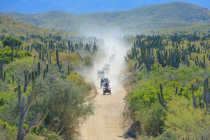 OffRoad 4X4 UTV Adventure with unlimited Lunch & Tequila - UTV riding in Baja: cactus arroyos, shallow streams, and why it can feel “managed”