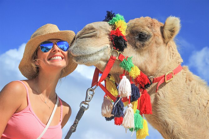 Outback Camel Ride - Quick hits you’ll care about