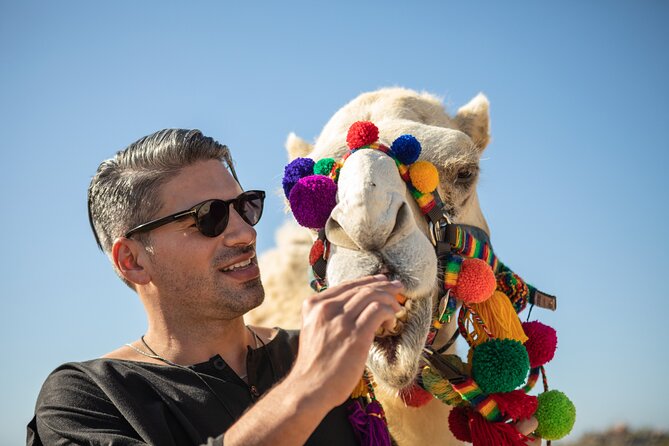 Outback Camel Ride - Timing and pickup: how to avoid the longest day feeling