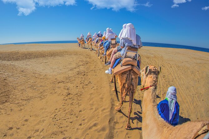 Outback Camel Ride - Price and value: is $109 actually a good deal?