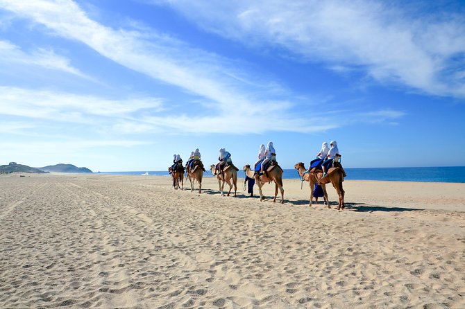 Outback Camel Ride - Who this camel ride suits best