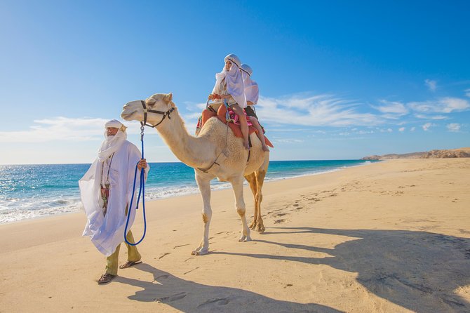 Outback Camel Ride - Should you book the Outback Camel Ride in Cabo?