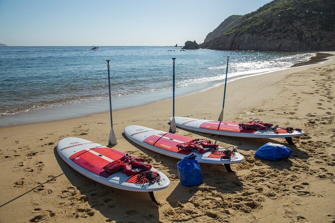 Paddleboard Expedition to the Arch of Cabo San Lucas, Lovers Beach & Snorkel - Who this tour is best for (and who should think twice)