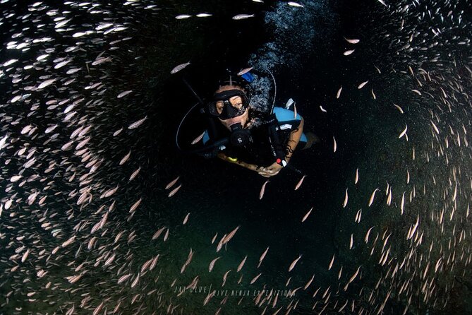 PADI Open Water Course in Cabo San Lucas - Key highlights I’d use to choose this course