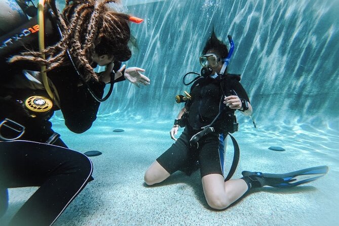 PADI Open Water Course in Cabo San Lucas - Why Cabo San Lucas is a good place to start Open Water
