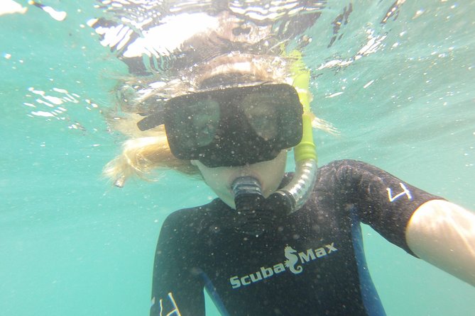 Pelican Rock Snorkeling and Sightseeing Adventure - Staff, language, and the small-group feel on board