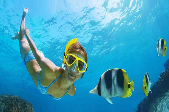 Private 3-Hour Snorkeling Tour with Arch Tour and Beach Time - Why a glass-bottom boat plus snorkeling works in Cabo