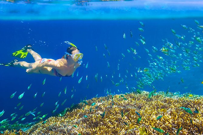 Private 3-Hour Snorkeling Tour with Arch Tour and Beach Time - El Arco on the water: the Arch, sea lions, and the best photo stops