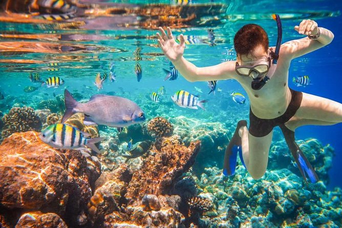 Private 3-Hour Snorkeling Tour with Arch Tour and Beach Time - Pelican Rock snorkeling and what the glass window really shows