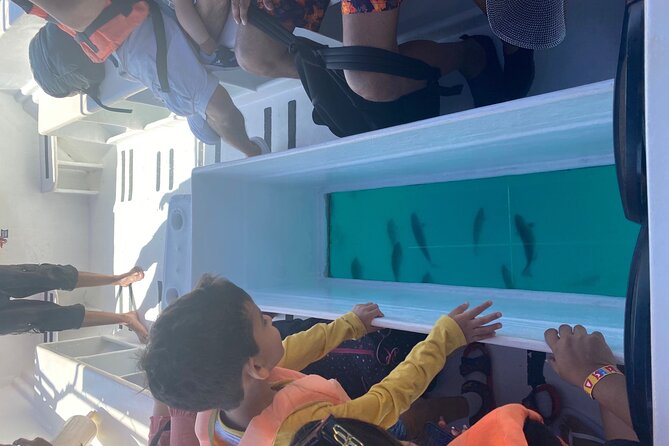 Private 3-Hour Snorkeling Tour with Arch Tour and Beach Time - Value for $100 per person: when this is a smart buy