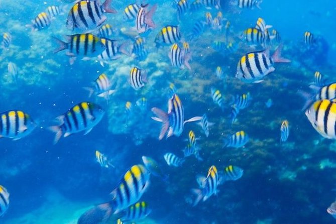 Private 3-Hour Snorkeling Tour with Arch Tour and Beach Time - The 3-hour private format: timing, pace, and what to expect