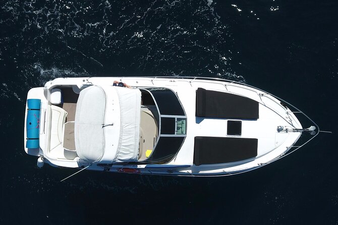 Private 3hr Yacht Cruise in Cabo San Lucas all included - On Board: Snacks, Lunch, Alcohol, and Snorkel Gear Included