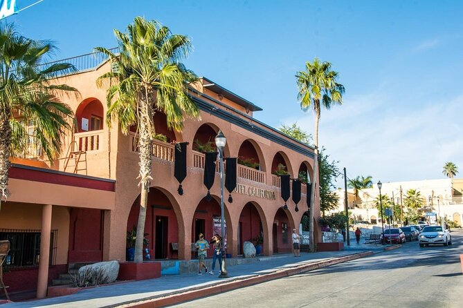Private 6-Hour Todos Santos Tour from Los Cabos - Todos Santos: 3 hours of walkable town time