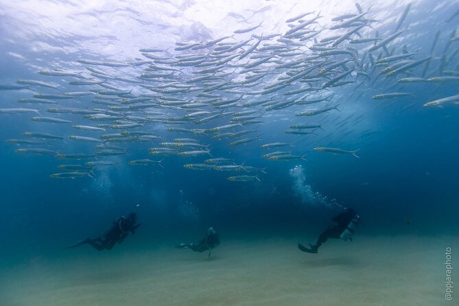 Private Beginner Scuba Diving Experience in Cabo San Lucas - Your 2.5-hour plan: what happens before and after the water