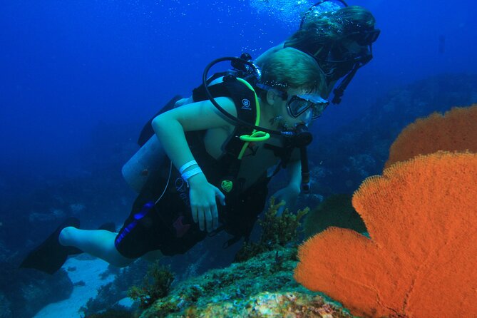 Private Beginner Scuba Diving Experience in Cabo San Lucas - Marine life time: pufferfish and the calm joy of close encounters