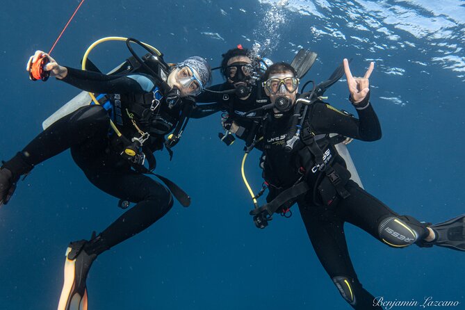 Private Beginner Scuba Diving Experience in Cabo San Lucas - Who should book this beginner scuba outing—and who should add training time
