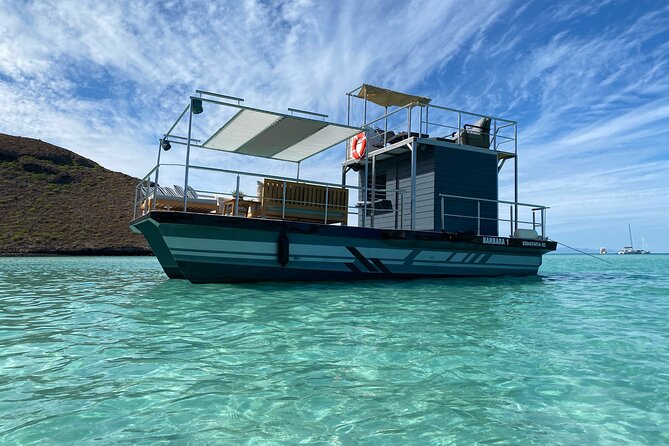 Private Cabo 35ft cat experience Food and open bar included! - El Arco de Cabo San Lucas: the Arch, close and personal