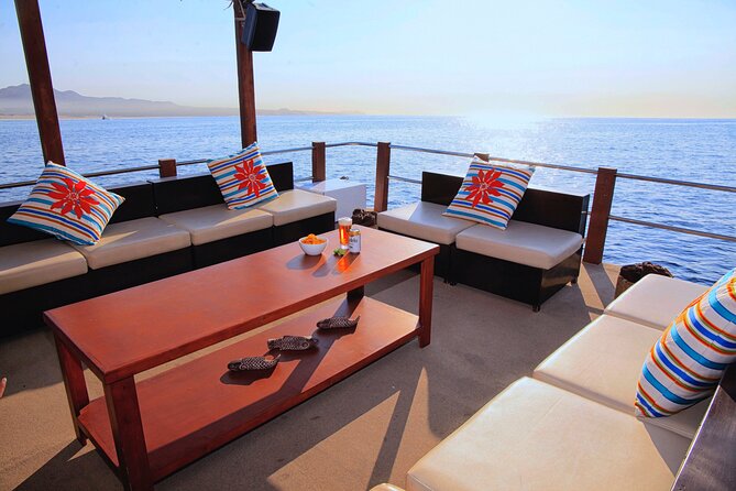 Private Cabo Catamaran with Water Toys for up to 20 Guests - Water Toys, Snorkeling, and Sea Life When the Water Is Messy