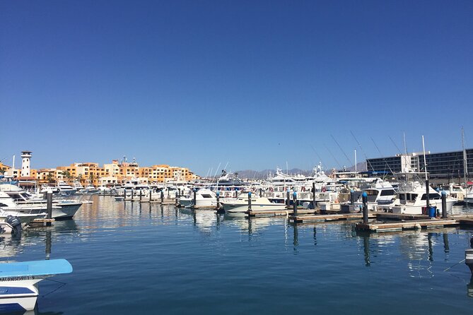 Private Cabo City Tour & Relaxing Beach Day Experience - Glass Factory Stop: A Quick Skill Lesson You Can Watch