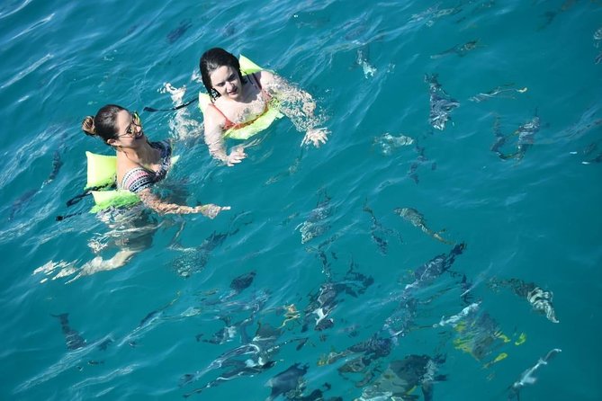 Private Catamaran Snorkeling Cruise in Los Cabos - Onboard Food and Open Bar: The Part You’ll Notice