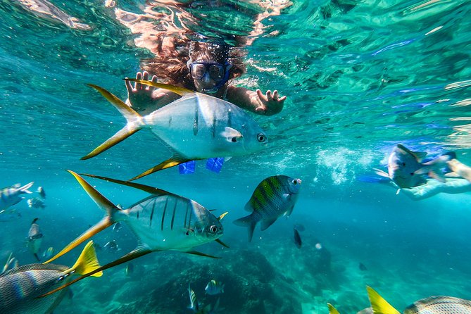 Private Day Trip to San José & Cabo San Lucas - Plaza Mijares: the quick stop that gives San José del Cabo its flavor