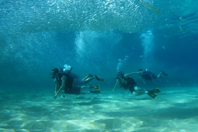 Private Dive Boat for Certified Divers - Cabo San Lucas - A Private Boat in Cabo: the calm of going your own way