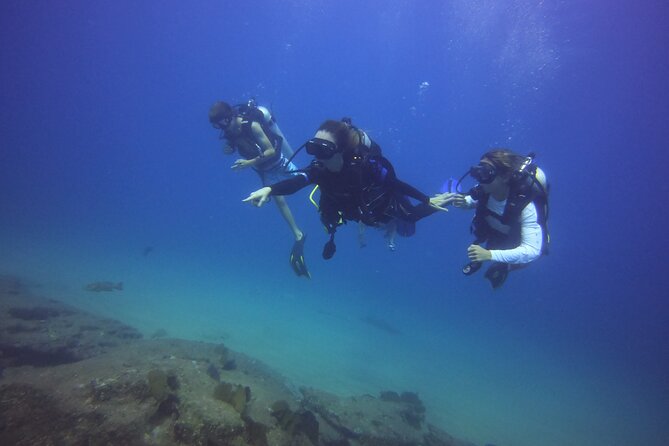 Private Dive Boat for Certified Divers - Cabo San Lucas - How the guide picks your two underwater sites (and why it’s worth it)