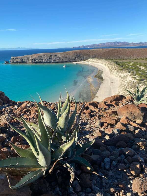 Private experience from Cabo San Lucas to La Paz: (Balandra beach) - Todos Santos: art, history, and a chance to walk at your own speed