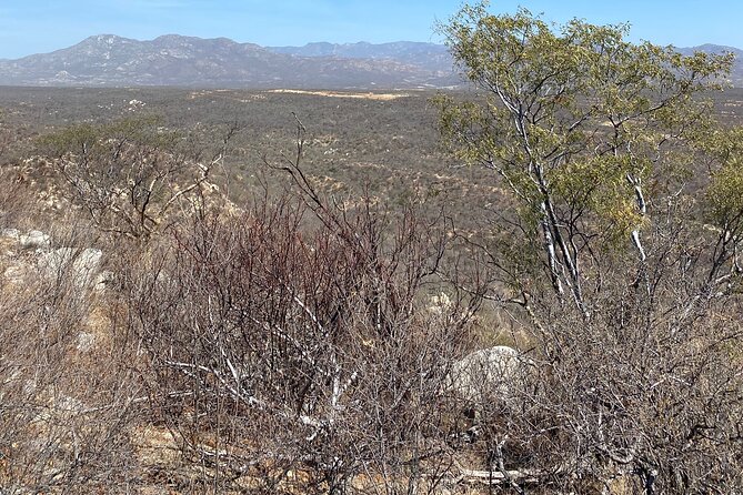 PRIVATE Fun Hiking Tour with Awesome Views - Weather matters more than you think