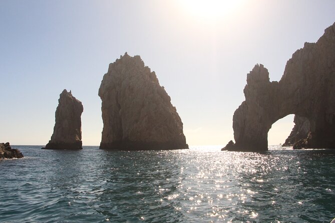 Private Guided Snorkeling in Cabo San Lucas - The snorkel session: pro-led gear and time with marine life