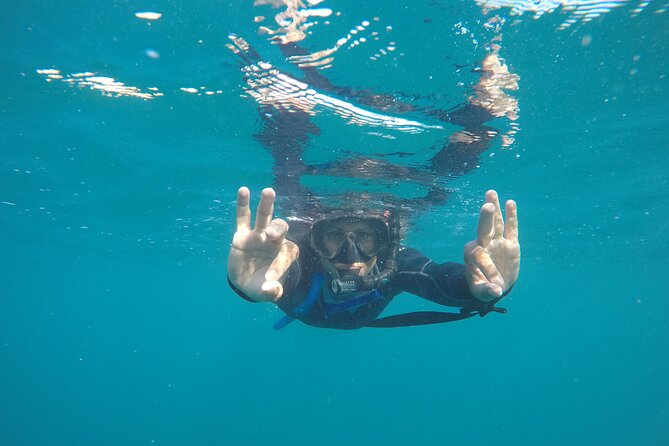 Private Guided Snorkeling in Cabo San Lucas - Snacks, reusable water, and the small comforts that matter