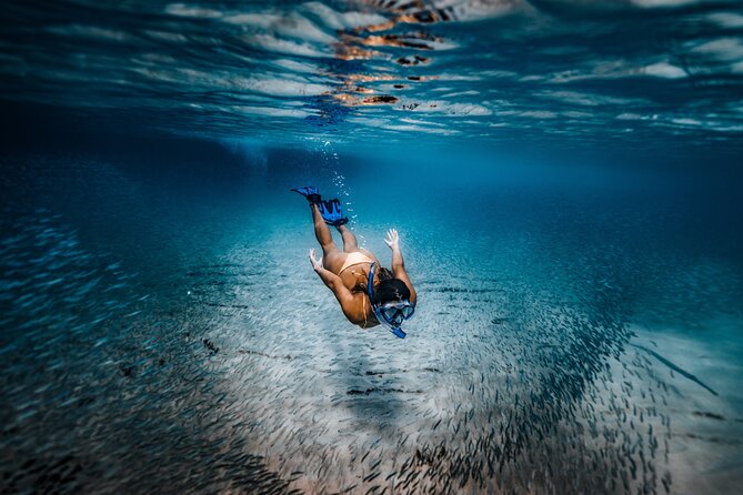Private Guided Snorkeling in Cabo San Lucas - El Arco: the classic Cabo photo in just 2 minutes