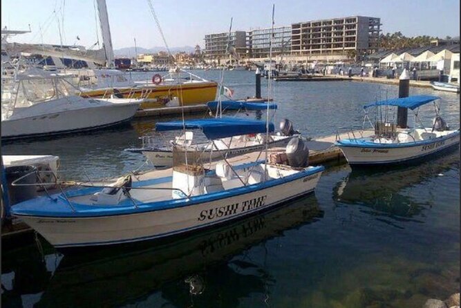 Private Half-Day Sport Fishing in Los Cabos - Finding the Meeting Point Fast: Marina Directions That Actually Matter