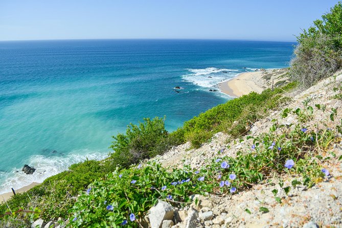 Private Jeep Tour Cabo Pulmo - Cabo Pulmo Marine Preserve: Snorkeling Where Sea Life Counts