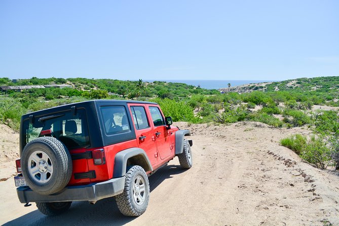 Private Jeep Tour Cabo Pulmo - Playa de Arbolitos Snack Break: Small Stop, Big Mood Change