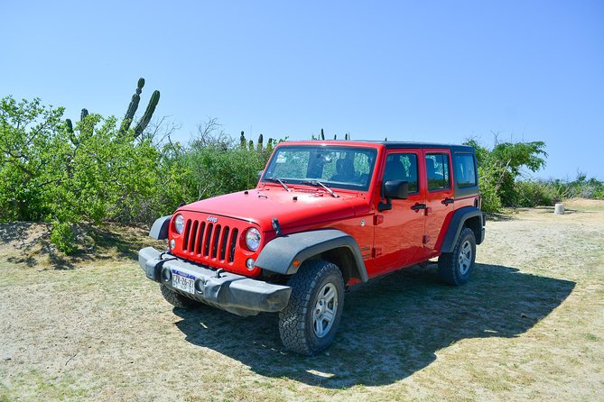 Private Jeep Tour Cabo Pulmo - Tropic of Cancer: A Quick Photo Stop With Real Meaning
