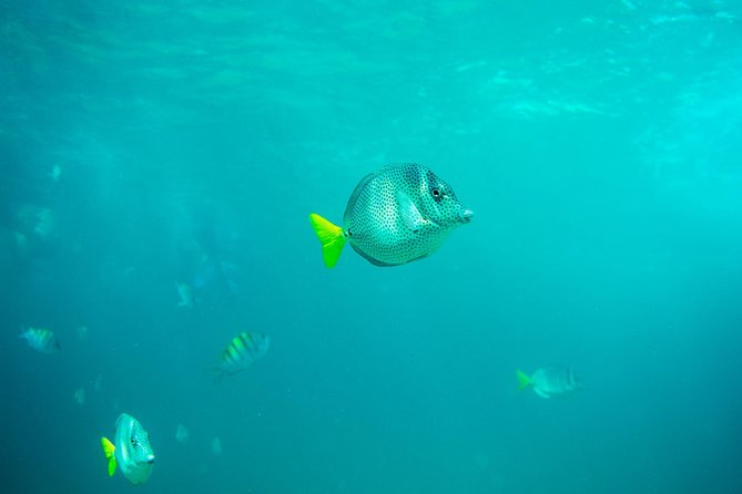 Private Los Cabos Arch & Playa del Amor tour by Glass bottom kayak - Getting to Plaza Gali and starting at 7:30 am