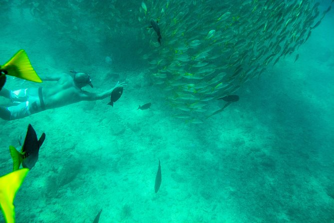 Private Los Cabos snorkeling tour to Chileno bay and Santa Maria cove - Chileno Bay: clearer water, reef variety, and what you should watch for